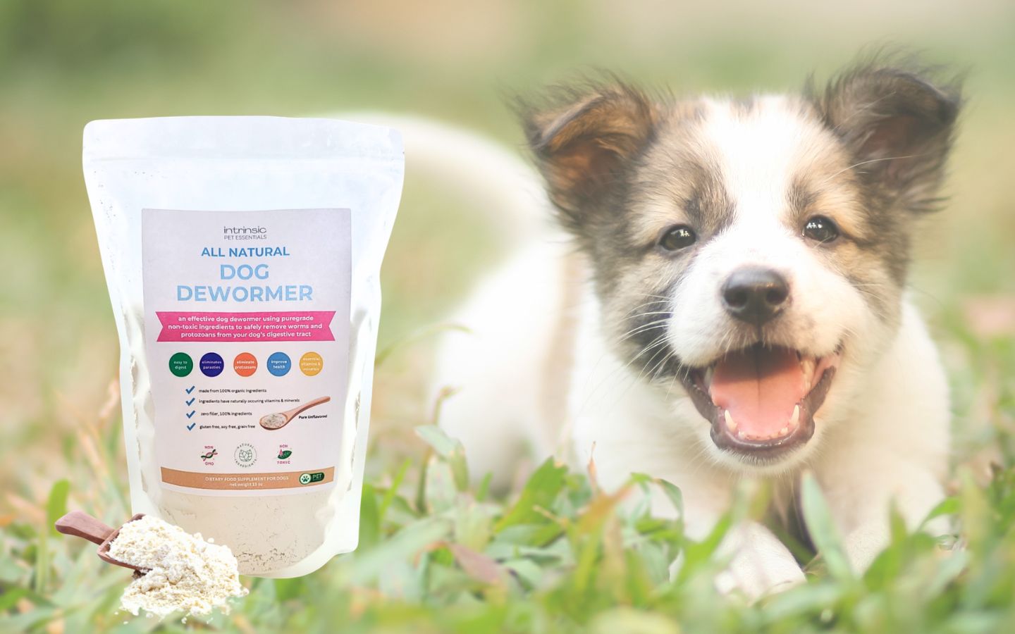 best natural dog dewormer