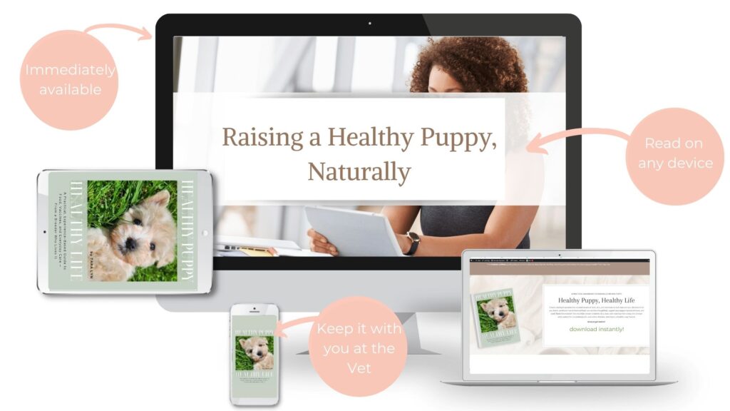 healthy puppy healthy life puppy guide