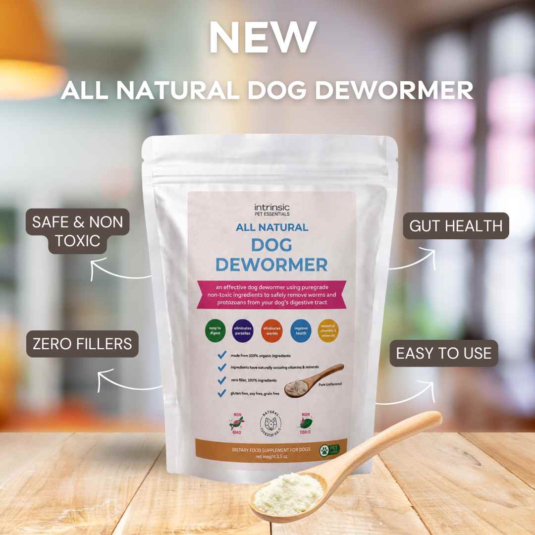 best-natural-dewormer-for-dogs