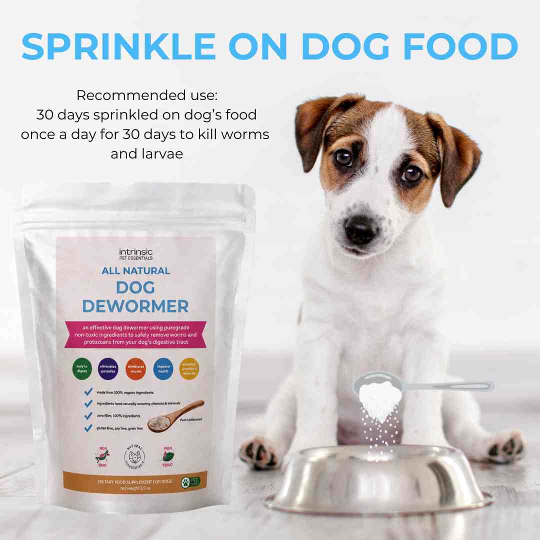 best natural dog dewormer